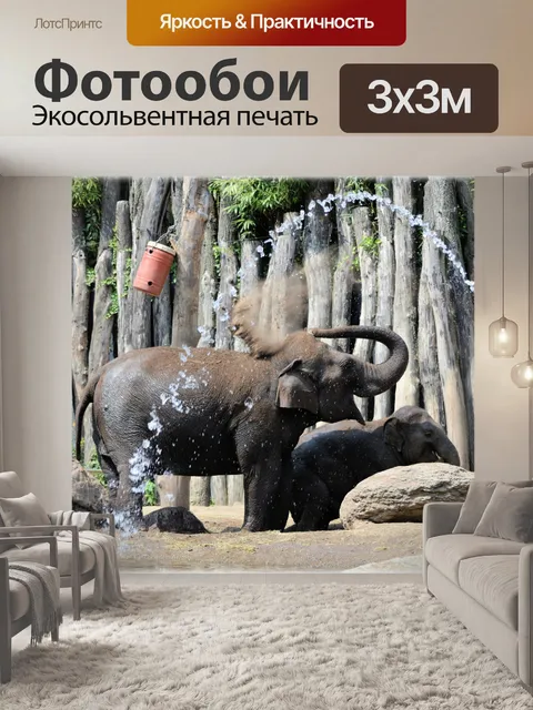 Фотообои В ванне со слонами 08