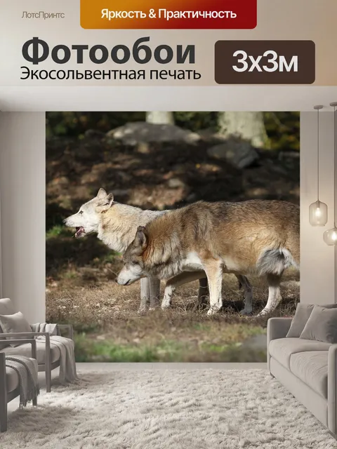 Фотообои Волки