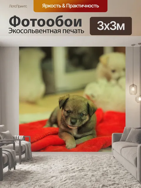Фотообои Бродячие собаки
