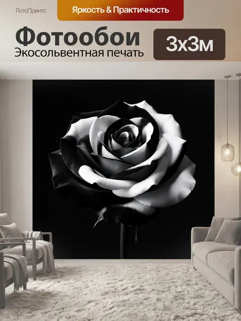 Фотообои Черно-белая роза крупным планом