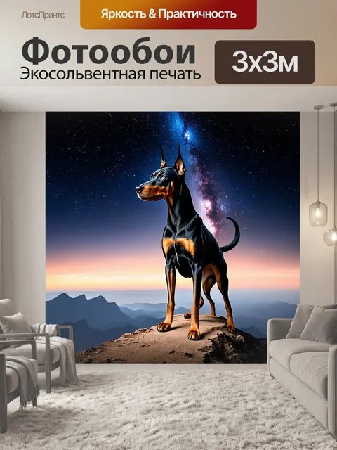 Фотообои уютный момент с доберманом, который стоит на вершине горы, наблюдая за звёздным небом с яркими созвездиями