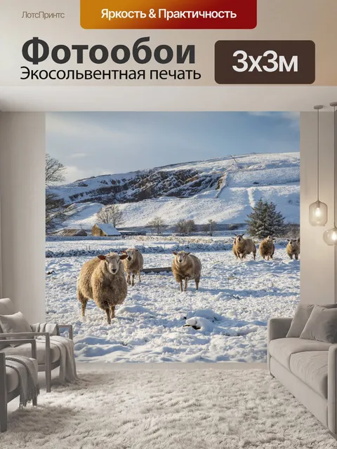 Фотообои Овцы в снегу