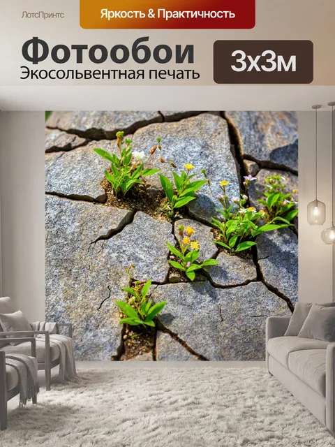 Фотообои камень, украшенные крошечными растениями и цветами, которые прорастают из трещин