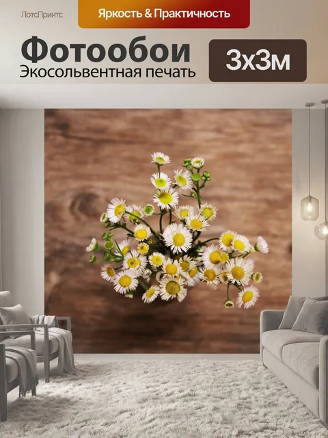 Фотообои Дейзи Флибейн Полевые цветы крупным план