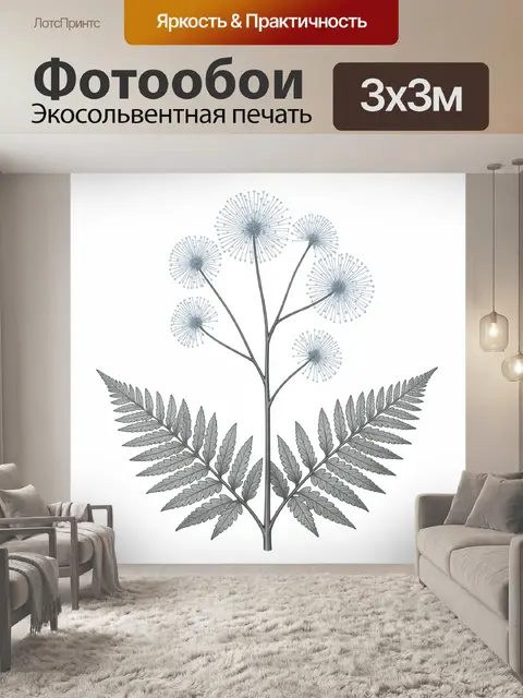 Фотообои Ботаническая ветка с пушистыми соцветиями