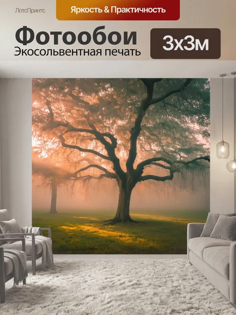 Фотообои дерево, окруженное завораживающим туманом, его ветви раскинулись в стороны, случается утреннее солнце…