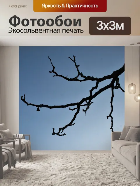Фотообои Японская филиалы изюм дерево