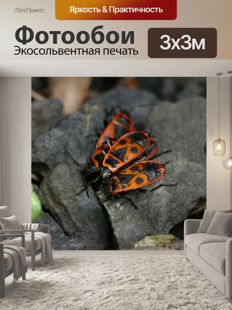 Фотообои Макрос