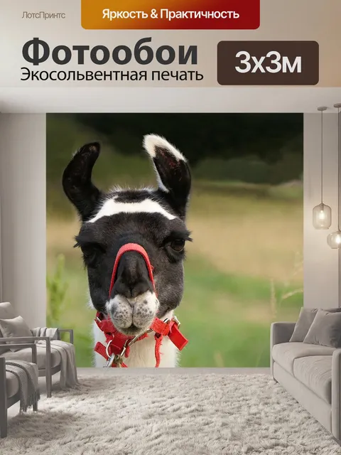 Фотообои Лама
