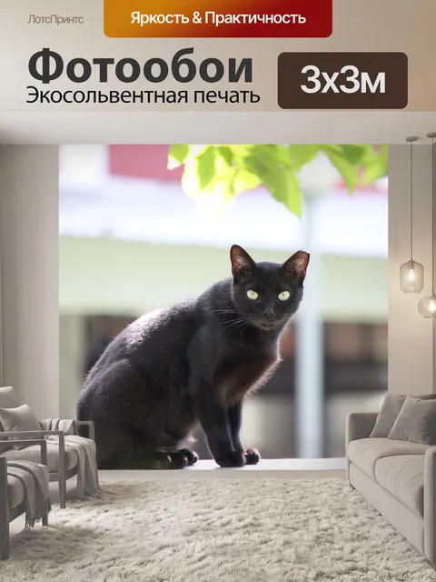 Фотообои черная дикая кошка на стене
