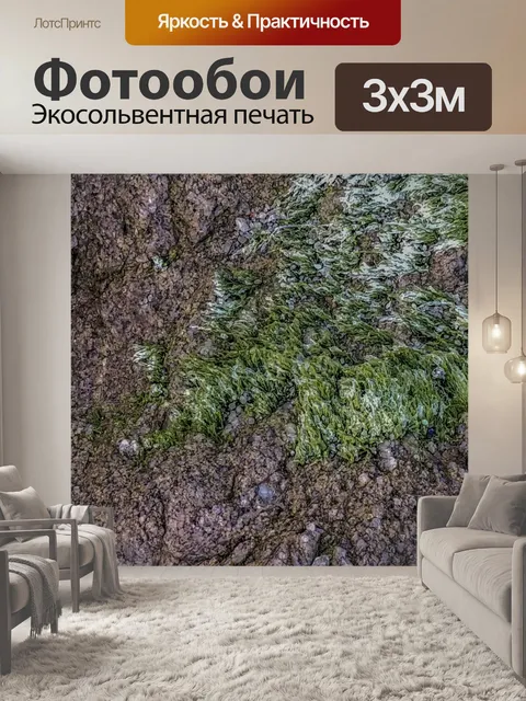 Фотообои Морские водоросли на скале