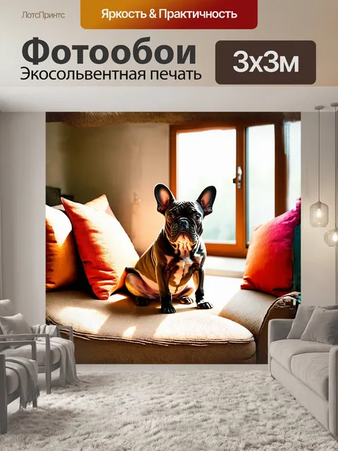 Фотообои французский бульдог исси сидит на уютном диване с яркими подушками вокруг