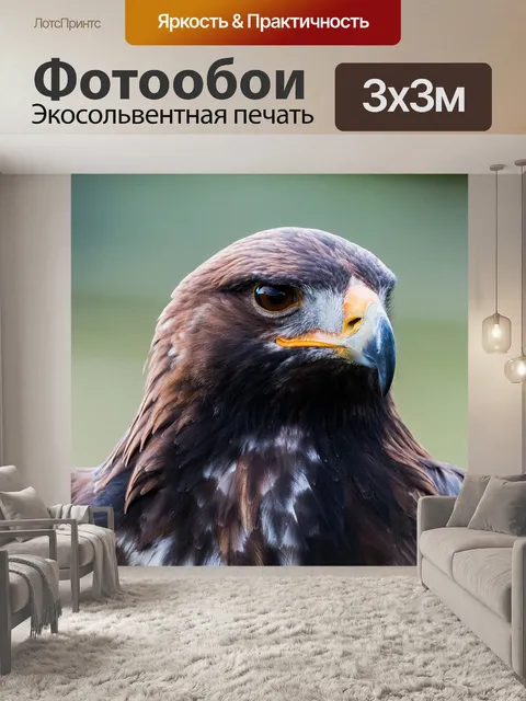 Фотообои Золотой орел