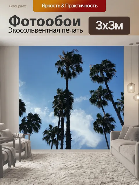 Фотообои Пальмы