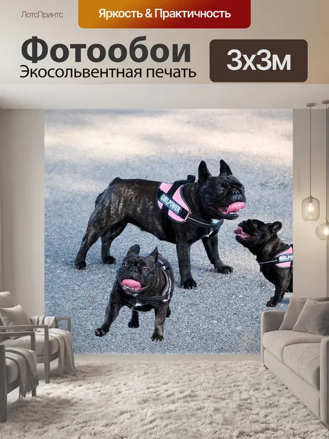 Фотообои Три раза одно