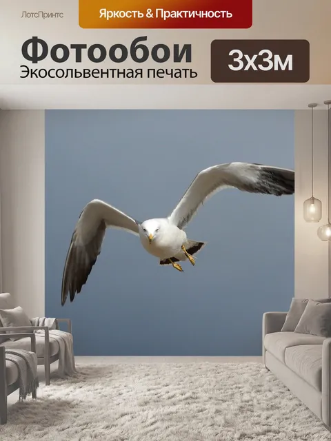Фотообои Животное