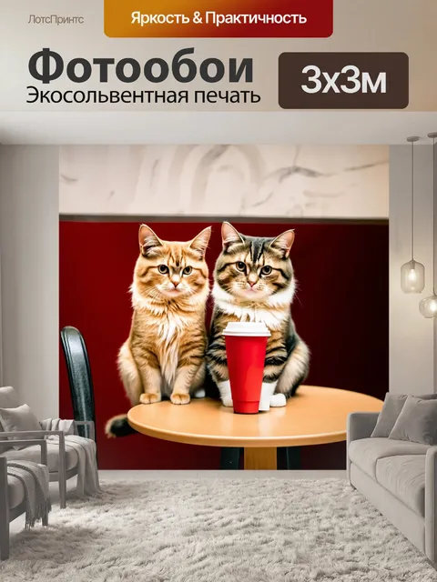 Фотообои кошки, сидящие на стуле в кафе, держащие чашку кофе