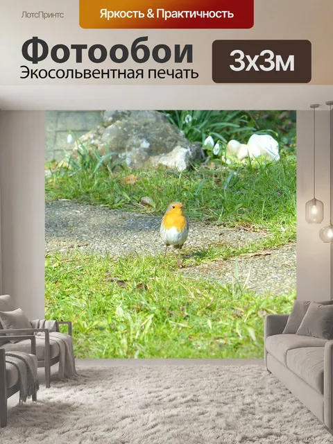 Фотообои Птица