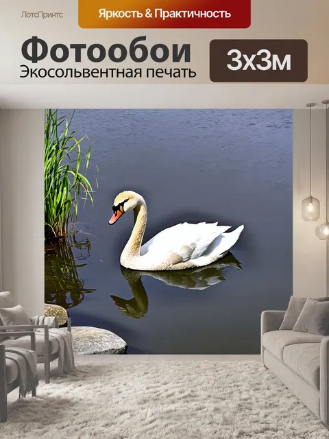 Фотообои лебедь на фоне спокойного озера, окруженного камнями и зелеными растениями
