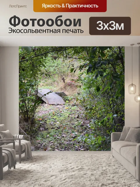 Фотообои Тропа тропы