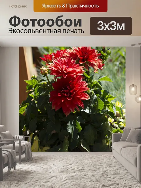Фотообои красные цветы в горшках