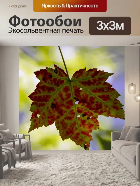 Фотообои кленовый лист
