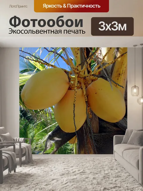 Фотообои Желтые кокосы