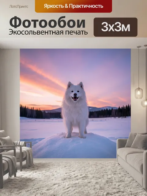Фотообои Белый шпиц на зимнем закате