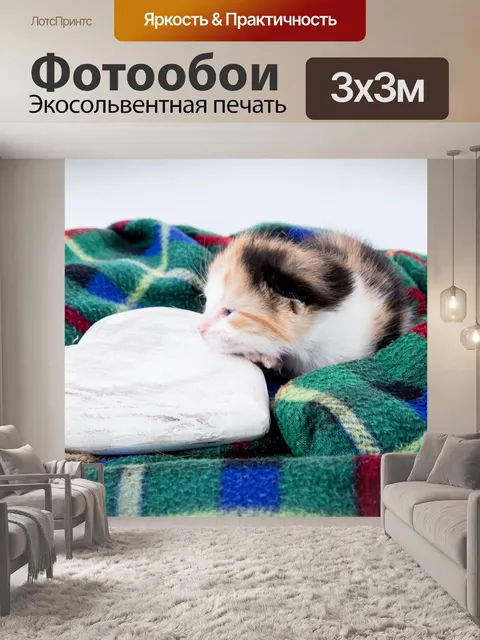 Фотообои Красивая кошка