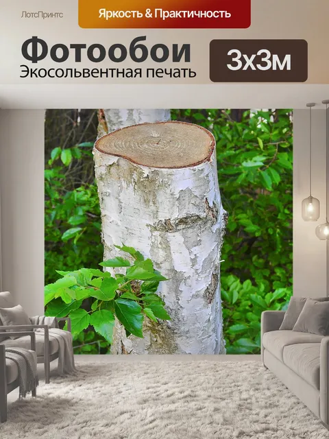 Фотообои Обрезана береза