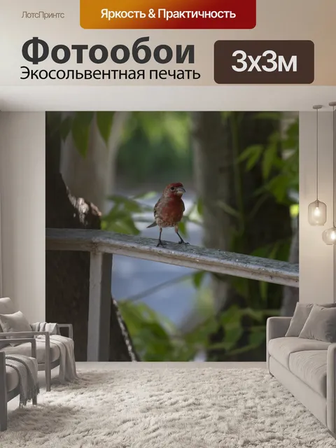 Фотообои Красная птица Птичка
