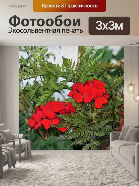 Фотообои красный герани с плаката краям