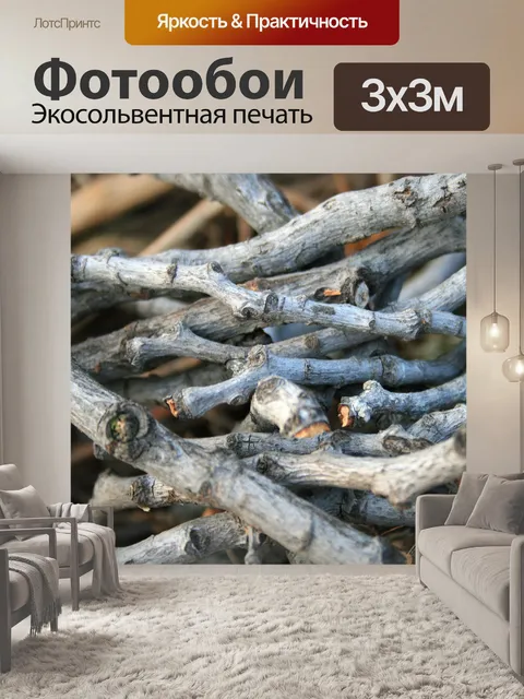 Фотообои Японская изюм ветки