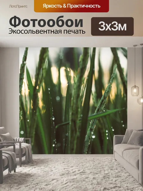 Фотообои Убуд