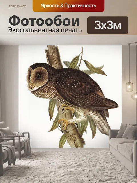 Фотообои Сова старинный плакат старый