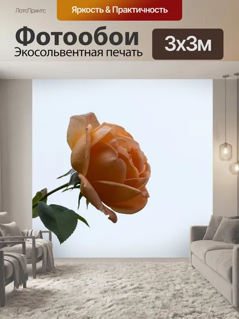 Фотообои Осень