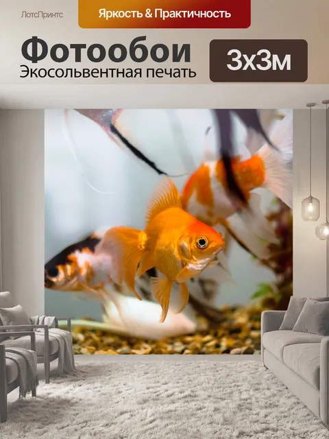 Фотообои Аквариумы