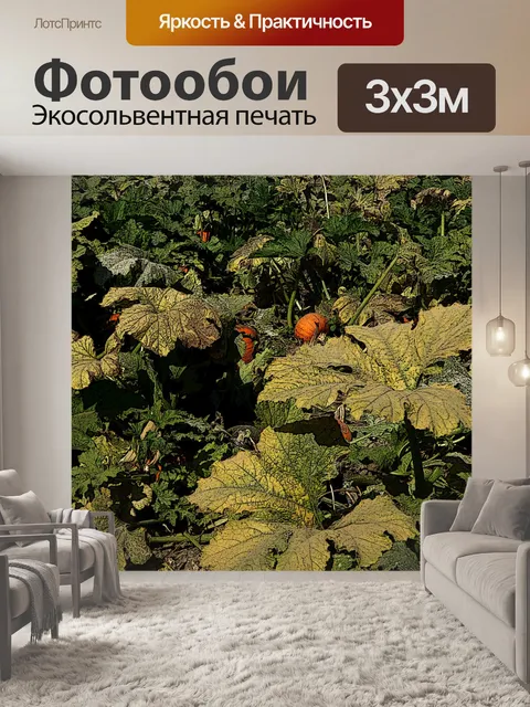 Фотообои Тыквенные патч фон