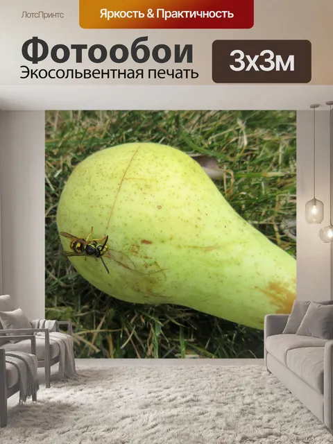 Фотообои оса на груши 1