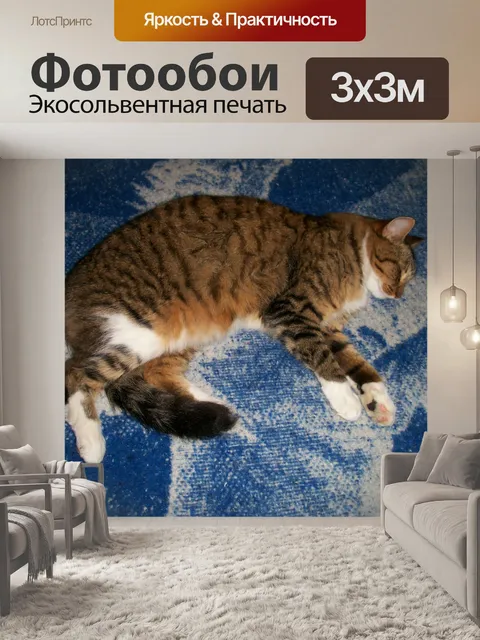 Фотообои Кошка
