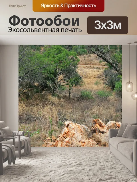 Фотообои сцена с африканским кустарником и вельдо