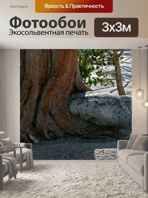 Фотообои Камень