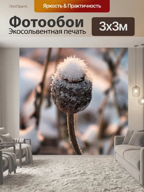 Фотообои Замороженные растения