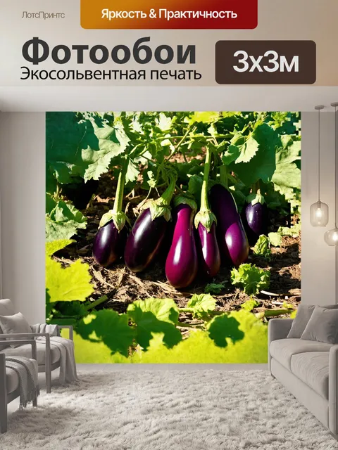 Фотообои группа баклажанов в поле, окруженная нежными зелеными листиками