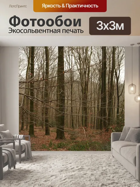 Фотообои Лес