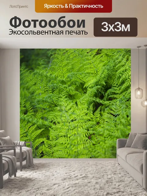 Фотообои папоротник