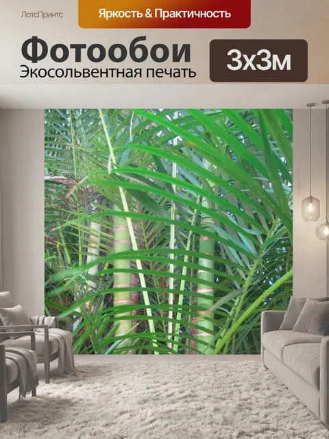 Фотообои пальмовое типа бамбука