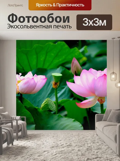 Фотообои Лотос пара