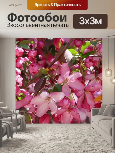 Фотообои Яблоко