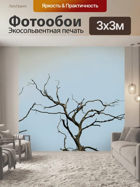 Фотообои мертвых высокое дерево в небе